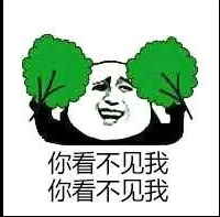 你看不见我，你看不见我