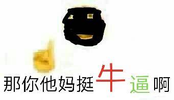 那你他妈挺牛逼啊