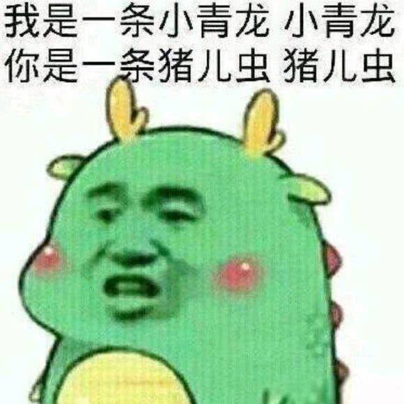 我是一条小青龙，小青龙你是一条猪儿虫猪儿虫