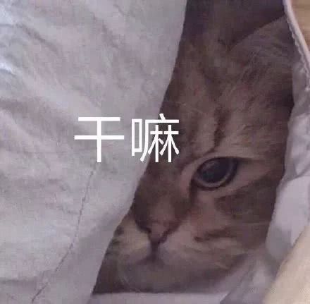 干嘛