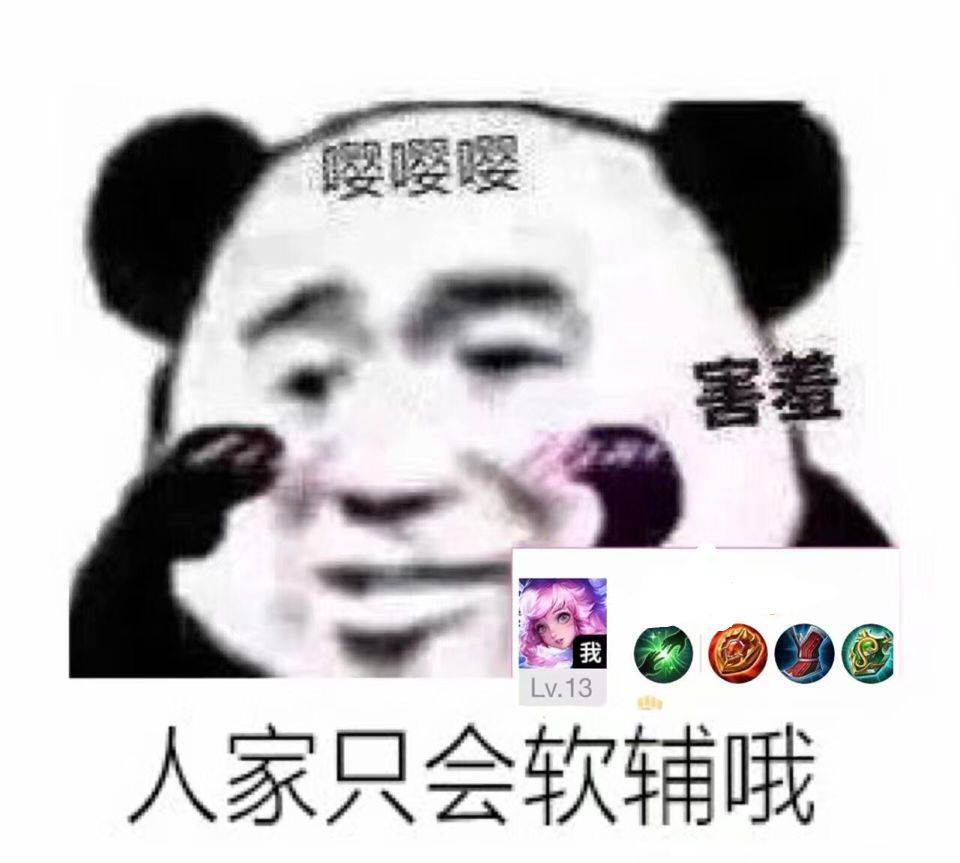 人家只会软辅哦！