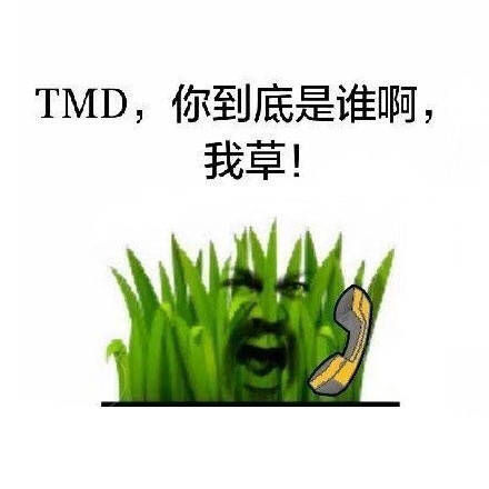 ＴＭＤ，你到底是谁啊，我草！