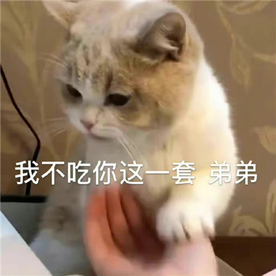 干货满满的好笑表情最新 你去玩吧我没生气