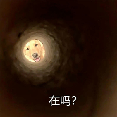 斗图专用表情整套最新合集 我错了以后你改