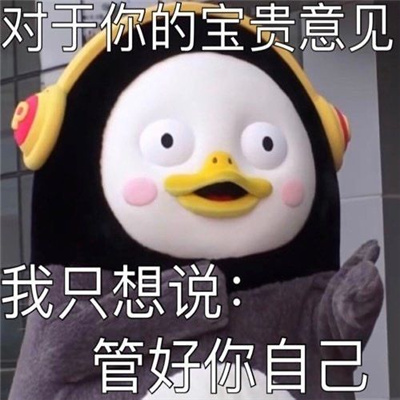 发疯微信斗图表情合集 很有用的精致表情合集