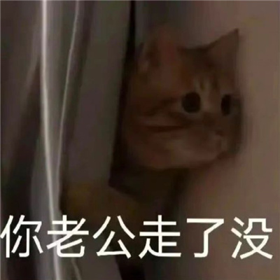 最新版超级猥琐的表情 你老公走了没