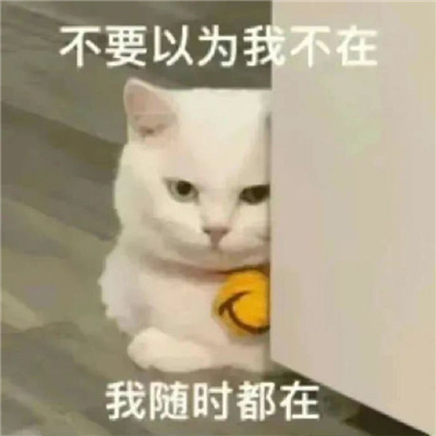 最新版超级猥琐的表情 你老公走了没