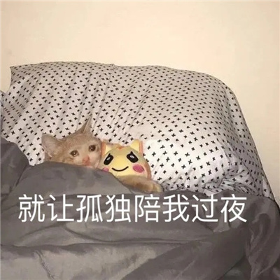 珍藏已久的好玩表情合集 用过的最沙雕的表情