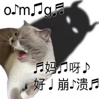 魔性大笑的趣味型表情2023 发疯表情又增加啦