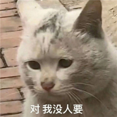 一定要去聊天的嗨皮表情合集 我不愧是贫困户又贫又困