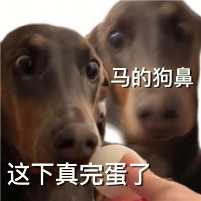 一定要去聊天的嗨皮表情合集 我不愧是贫困户又贫又困