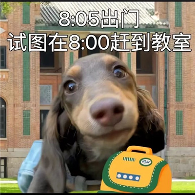 大学生专用的好笑表情 妈给点钱呗