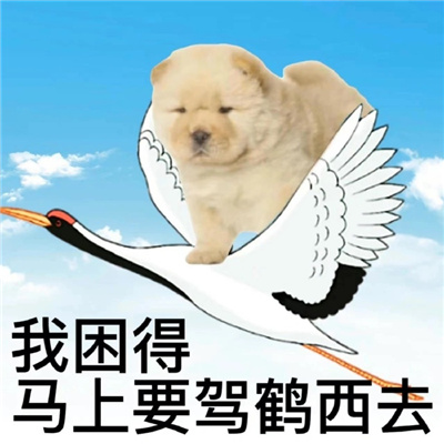 超火的困困微信沙雕表情 周一周一只想多眯