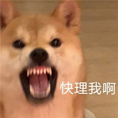 带给我们数不清快乐的表情 好用又很开心的表情最新