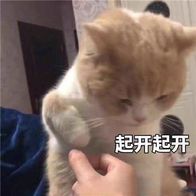 最新版搞怪的表情很实用 你才是猪大野猪