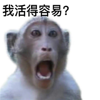 有趣且沙雕的好笑表情 报告我累了