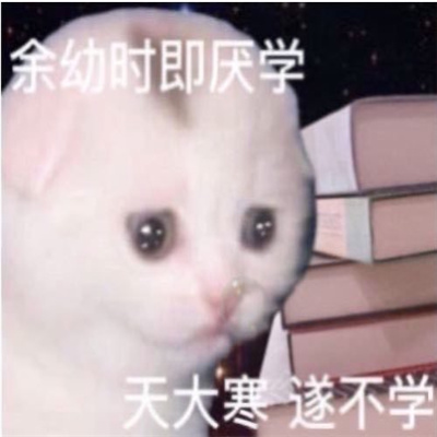 做旧星星眼鼻涕泡猫猫表情 近期超爱的表情