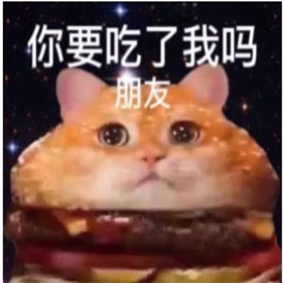 做旧星星眼鼻涕泡猫猫表情 近期超爱的表情