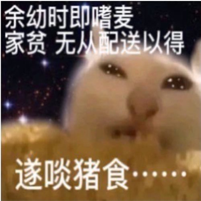 做旧星星眼鼻涕泡猫猫表情 近期超爱的表情