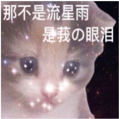 做旧星星眼鼻涕泡猫猫表情 近期超爱的表情