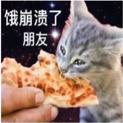 做旧星星眼鼻涕泡猫猫表情 近期超爱的表情