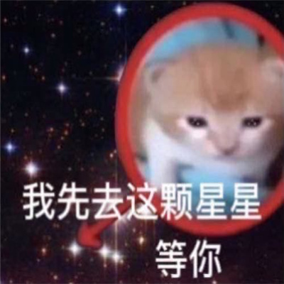 做旧星星眼鼻涕泡猫猫表情 近期超爱的表情