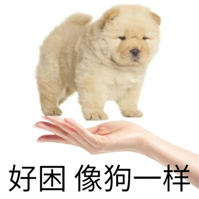 趣味搞怪表情包最新版合集 好苦像我的命一样