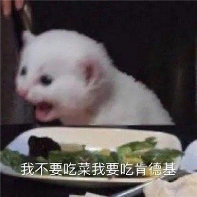 2023超有梗的表情最新合集 动动你的脑子小心青年痴呆