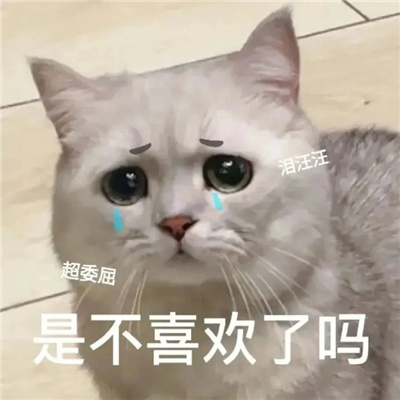 超级沙雕的好玩表情最新 你会喜欢的搞怪表情合集