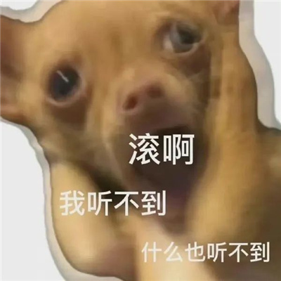 超级沙雕的好玩表情最新 你会喜欢的搞怪表情合集