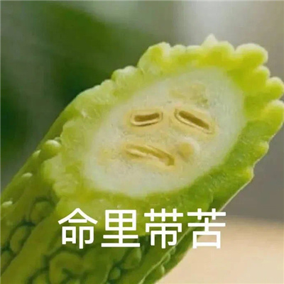 2023最新版互联网嘴替表情包 男人只会让我不开心