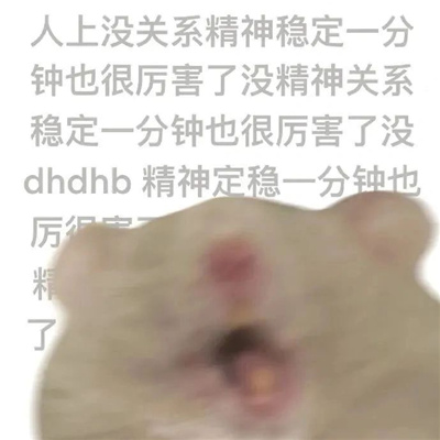 鼠鼠文学什么梗 鼠鼠发疯文学表情包