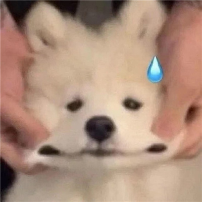 好用的爆笑表情最新 妈的最烦装逼的人