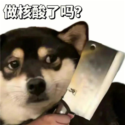 拿菜刀的小狗搞怪表情 好用又好玩的表情合集
