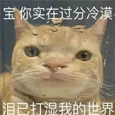 开心傻笑有趣的可爱表情 乖乖新表情又来增加啦