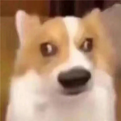 很莫名其妙的动物表情 奇奇怪怪的表情合集