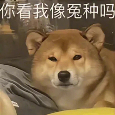 2023表情可爱爆棚最新版 可爱型的万能好用表情合集