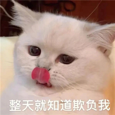 2023超好笑的微信表情最新 别约我我最近手头紧