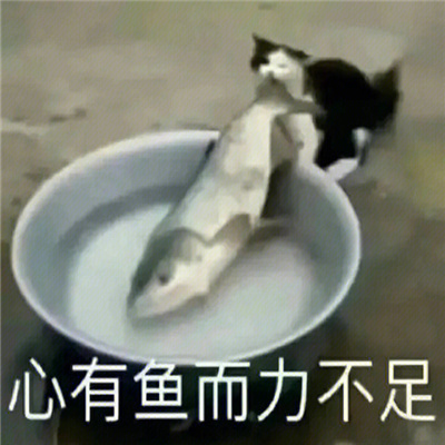 2023超好笑的微信表情最新 别约我我最近手头紧