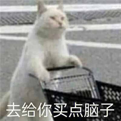 2023超好笑的微信表情最新 别约我我最近手头紧