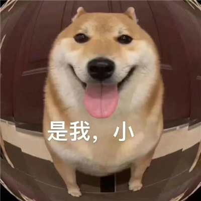 欢乐型的表情聊天很有趣味 逗人开心的好笑表情合集