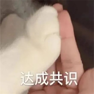 超级受欢迎的表情最新出炉 我可能不奶但你是真的茶