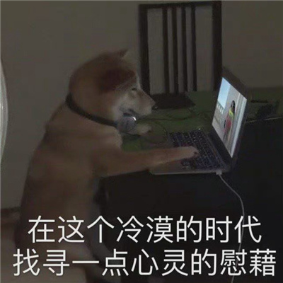 蛮有意思的表情最新版 必备的微信表情合集