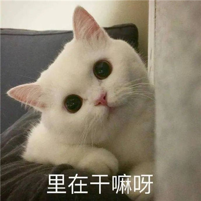 快乐多多的好笑幽默表情 有没有想我鸭