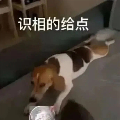 日常超好用的趣味实用表情包 装作恍然大悟