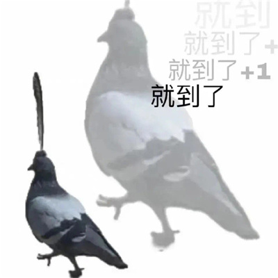 日常超好用的趣味实用表情包 装作恍然大悟