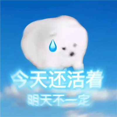 聊天存图的沙雕型表情 用沙雕表情聊天去吧