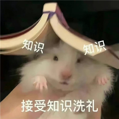 特有意思的表情很好用 你看我在勇敢的微笑