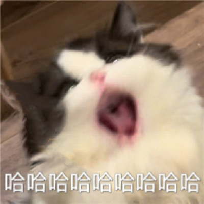 2023很搞怪的撒娇表情 撒娇带来快乐的表情