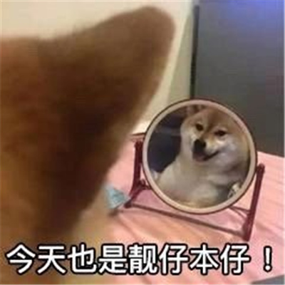 抖音很火高清无水印的搞怪表情 一看就笑喷的表情包